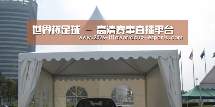 案例标题八