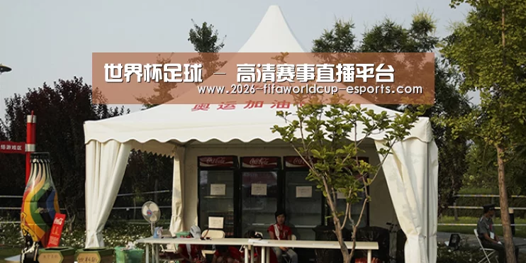 案例标题五
