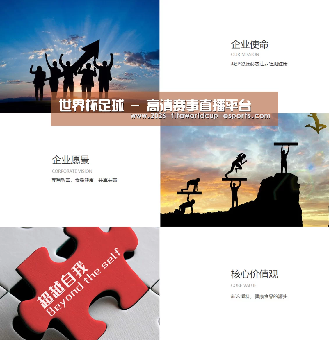 企业文化(图1)