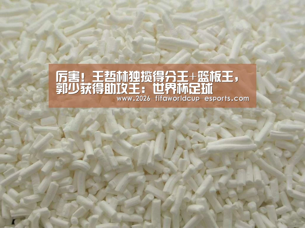 厉害!王哲林独揽得分王+篮板王,郭少获得助攻王:世界杯足球